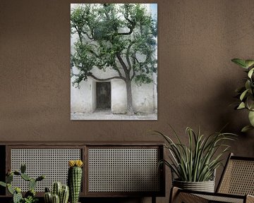 Tree against wall