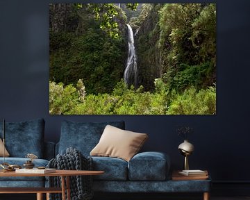 A waterfall amidst the forests of Madeira Island