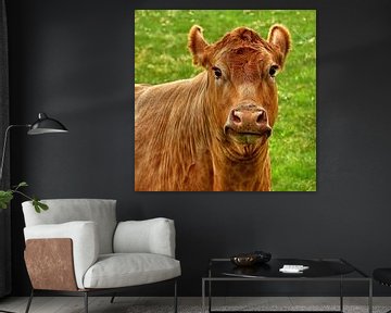 La Vache qui rit... (De lachende koe...) van Caroline Lichthart