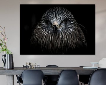 Portrai of a bird of prey  by Pureframed Photos