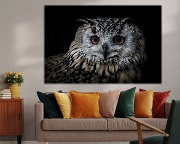 Portrait of an owl by Pureframed Photos