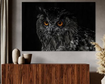 Portrait d'un hibou sur Pureframed Photos