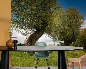 Knotwilgendijkje Zeeuws-Vlaanderen by Ellen Driesse