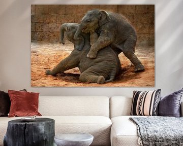 Elefantöse Spiel-Kälber von Joachim G. Pinkawa