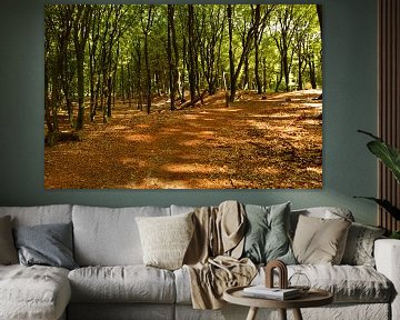 A summery forest landscape by Gerard de Zwaan