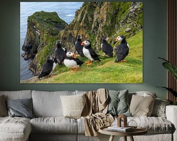 Puffins (Fratercula arctica) at the coast on the edge of a cliff by Nature in Stock