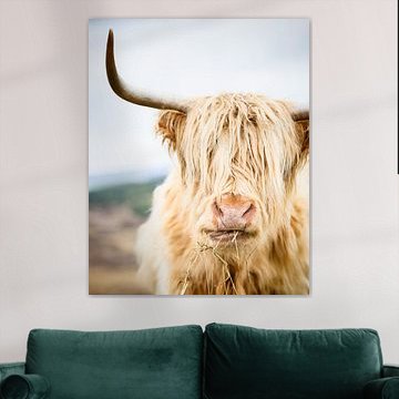 Portret van een Schotse Hooglander (gezien bij vtwonen) van Marloes van Pareren