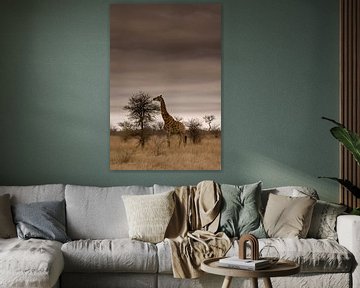 Giraffe in Kruger National Park van Jasper van der Meij