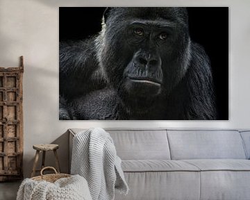 gorilla van Joachim G. Pinkawa