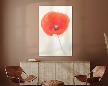 Picturesque poppy sur Marcel  van Rooijen