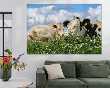 Koeien in het land (Friesland, Zwarte Haan) van Tieme Snijders