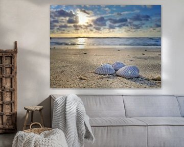 Beach shells  van Victor Droogh
