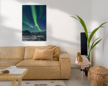 Nordlicht, Polarlicht oder Aurora Borealis im Nachthimmel über der Insel Senja in Nord Norwegen von Sjoerd van der Wal