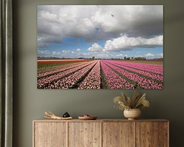 Bloeiende tulpen in het Noord-hollandse voorjaar van Maurice de vries