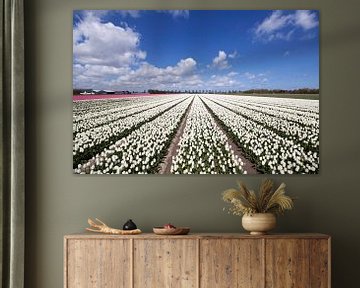 Hollandse bloeiende tulpen onder een blauwe lucht. van Maurice de vries