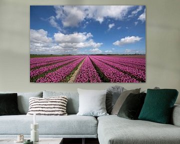 Typisch nederlands beeld met bloeienden tulpen van Maurice de vries