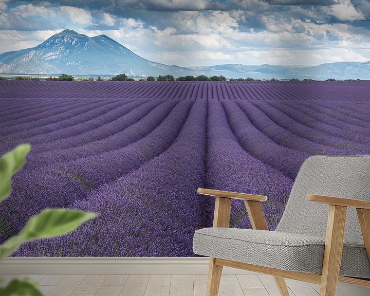 Beispiel fototapete: Lavendel Valensole von Bas Verschoor