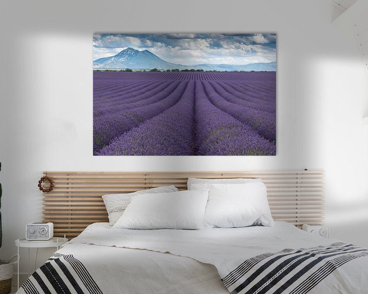 Beispiel: Lavendel Valensole von Bas Verschoor