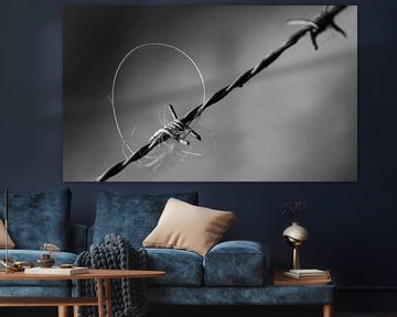 Barbed Wire-Art sur Ellen Driesse