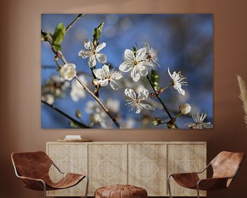 Une floraison rapide sur Rianne Fotografeert