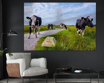 Koeien bij de kobbeduinen Schiermonnikoog by Jeroen Sloot