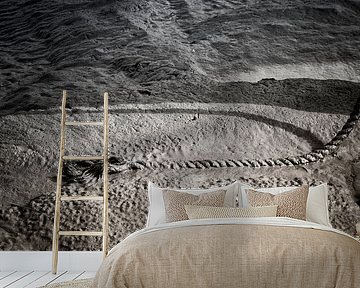 Swallows of Paal by Ellen Driesse