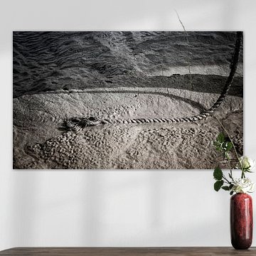 Die Schwalben von Paal von Ellen Driesse