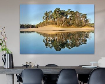 Eiland Bos - Henschotermeer van Willem van Leuveren Fotografie