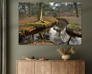 Sprengen in het Driebergse bos