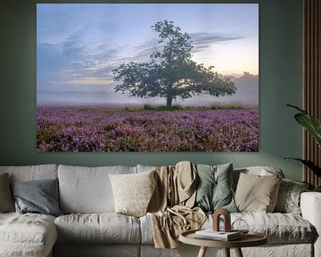 Le paysage de Heathland pendant le lever du soleil en été sur Sjoerd van der Wal Photographie