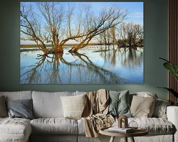 Biesbosch Waterboom van Willem van Leuveren Fotografie
