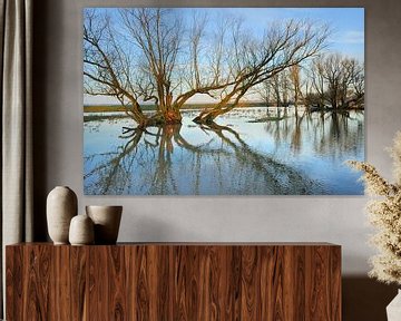 Biesbosch Waterboom van Willem van Leuveren Fotografie