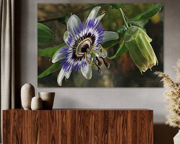 Passion pour les fleurs ; architecte : Nature !