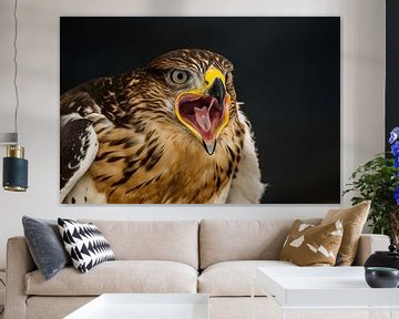 Bird of prey by Rob Smit