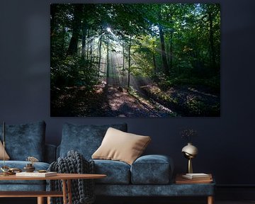 Herfstbos by Job ter Steege