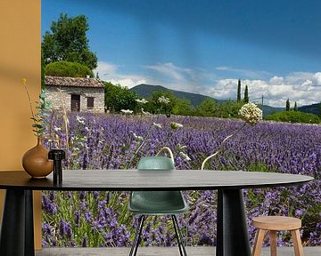 Lavender by Hermen Buurman