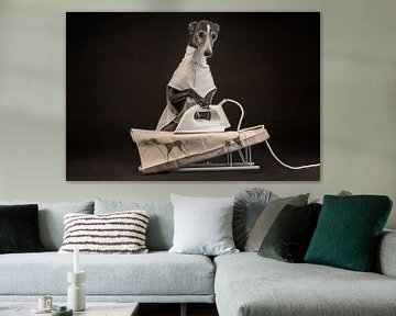 Ironing dog by Nuelle Flipse