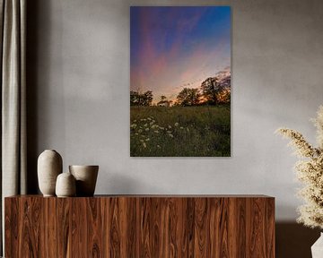 Lonely shed @ sunset II sur Marcel de Groot