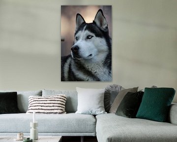 Husky Igor 5 kleur von Samanta van Wezel