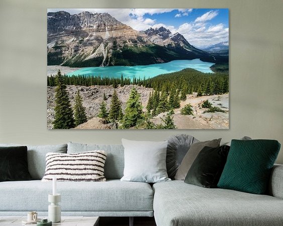 Aperçu de la chambre