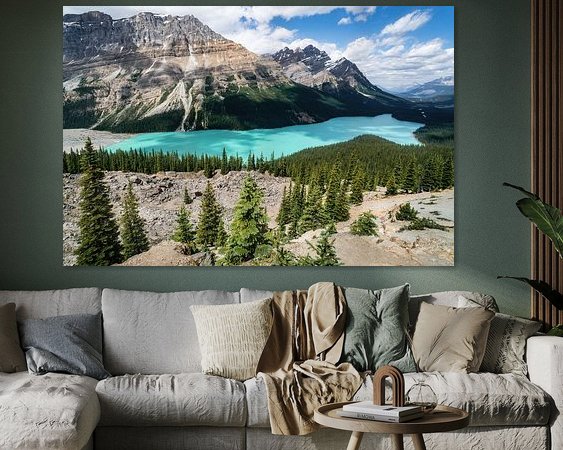 Aperçu de la chambre