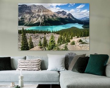 Peyto Lake by Loris Photography