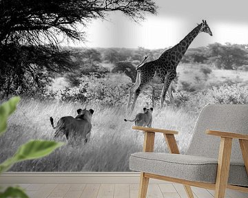 The Hunt by Claudia van Zanten