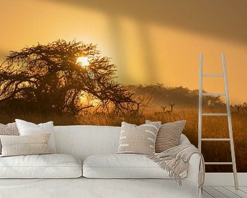Sunrise over the savannah by Claudia van Zanten