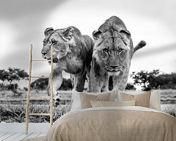 On eye level by Claudia van Zanten