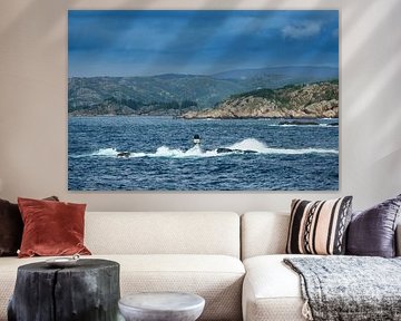 View to the Lyngdalfjord in Norway van Rico Ködder