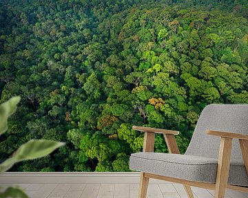 Luchtfoto van het regenwoud van Lambir Hills National Park van Nature in Stock