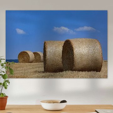 Hooi balen op het veld