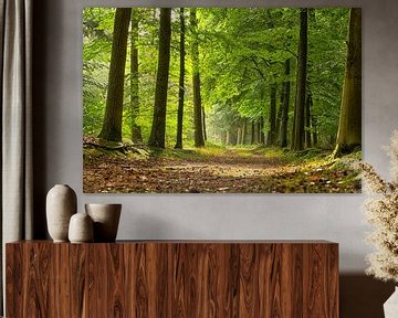 Fris groen bos na een regenbui