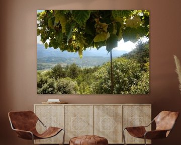 Druiven met uitzicht in Italië van Joke te Grotenhuis